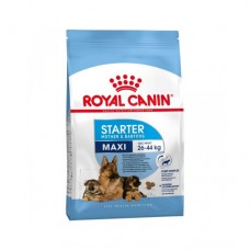 Royal Canin Dog Maxi Starter Mother & Babydog 4kg